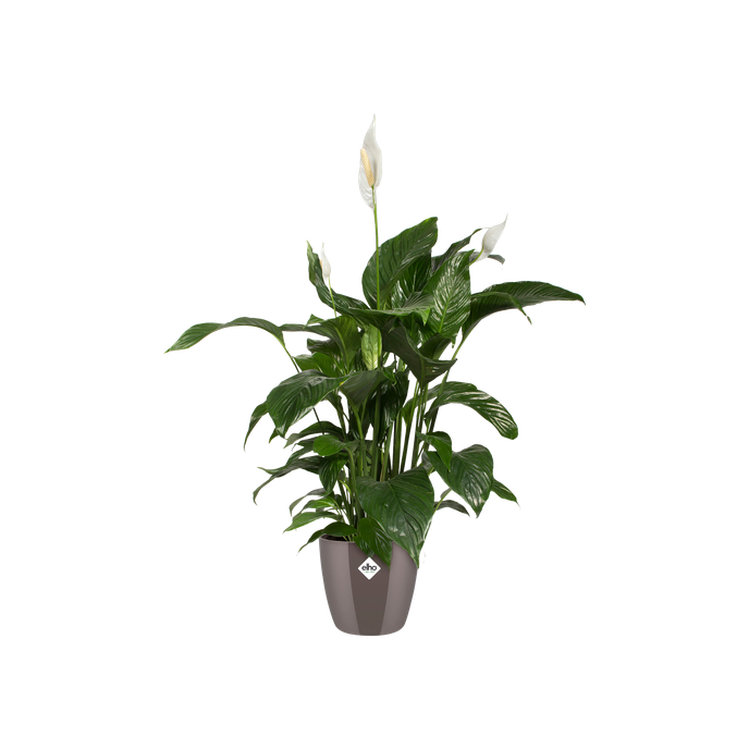 brussels diamond rond 14cm gris perle